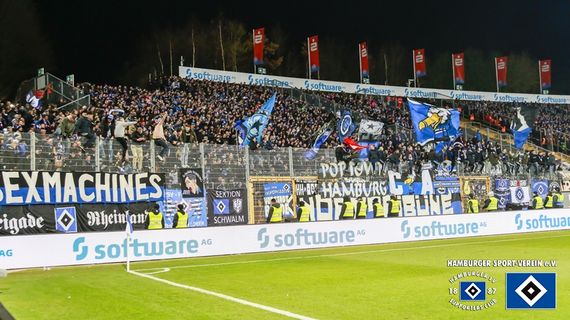 SV Darmstadt 98 vs Hamburger SV (0-2) (2)