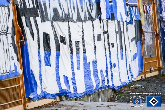 SV Darmstadt 98 vs Hamburger SV (0-2) (4)