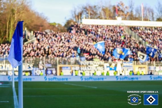 SV Darmstadt 98 vs Hamburger SV (0-2) (7)