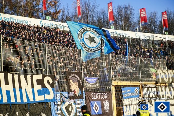SV Darmstadt 98 vs Hamburger SV (0-2) (11)