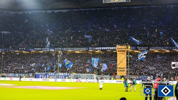 Hamburger SV vs FC Schalke 04 (2-1) (3)