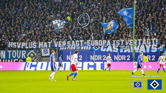 Hamburger SV vs FC Schalke 04 (2-1) (7)