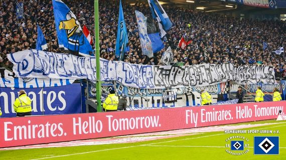 Hamburger SV vs FC Schalke 04 (2-1) (9)