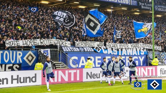 Hamburger SV vs FC Schalke 04 (2-1) (11)