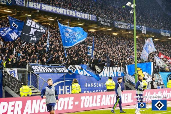 Hamburger SV vs FC Schalke 04 (2-1) (13)