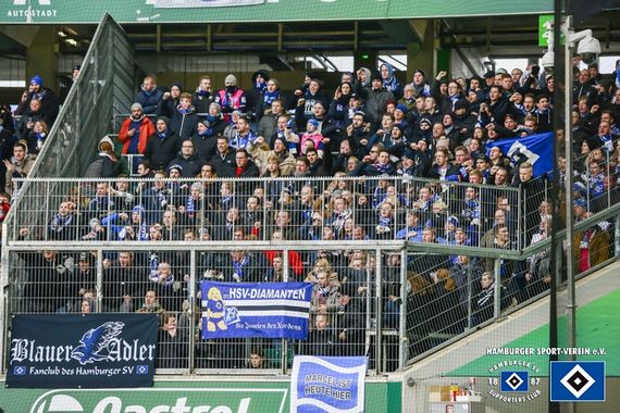 VfL Wolfsburg vs Hamburger SV (1-0) (2)