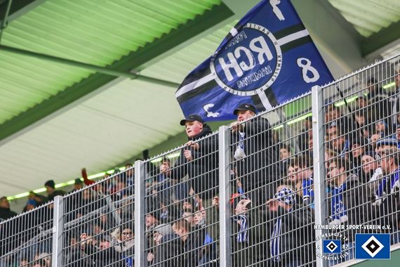 VfL Wolfsburg vs Hamburger SV (1-0) (3)