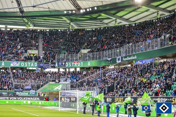 VfL Wolfsburg vs Hamburger SV (1-0) (4)