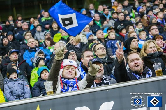 VfL Wolfsburg vs Hamburger SV (1-0) (9)