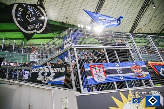 VfL Wolfsburg vs Hamburger SV (1-0) (10)