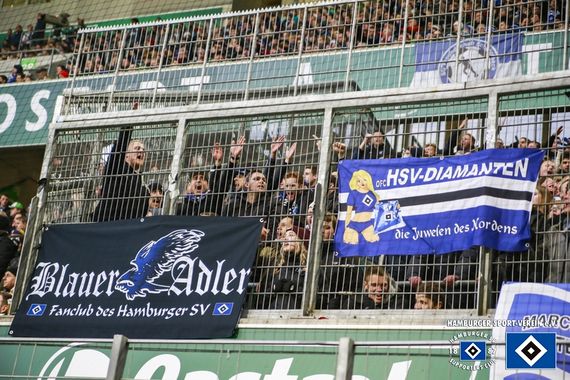 VfL Wolfsburg vs Hamburger SV (1-0) (12)