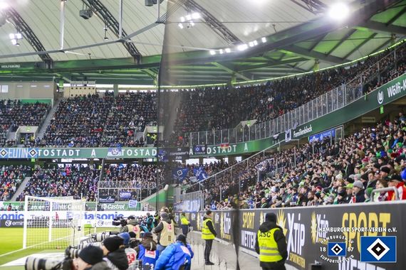 VfL Wolfsburg vs Hamburger SV (1-0) (13)
