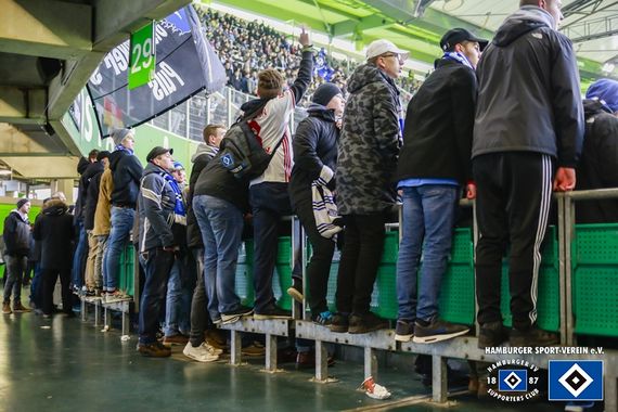 VfL Wolfsburg vs Hamburger SV (1-0) (14)