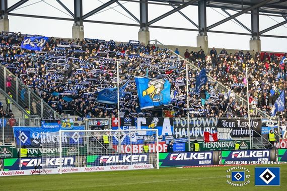 FC Ingolstadt 04 vs Hamburger SV (3-1) (8)