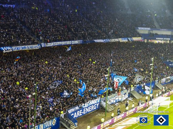 Hamburger SV vs Bayer 04 Leverkusen (1-0) (1)