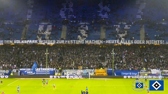 Hamburger SV vs Bayer 04 Leverkusen (1-0) (2)