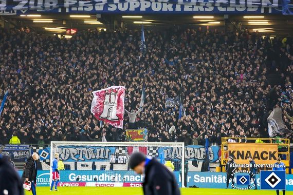 Hamburger SV vs Bayer 04 Leverkusen (1-0) (9)