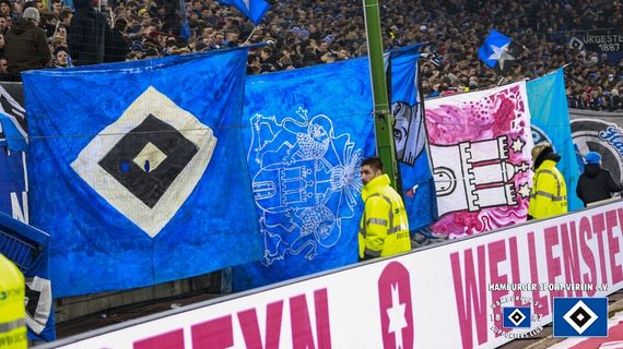 Hamburger SV vs SC Freiburg (2-2) (12)