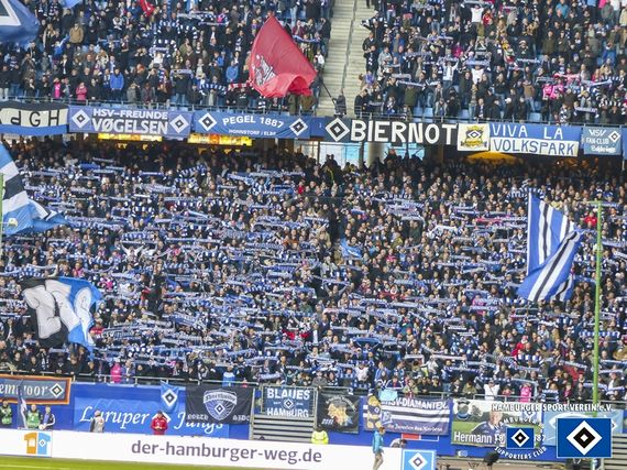 Hamburger SV vs Hertha BSC (1-0) (9)