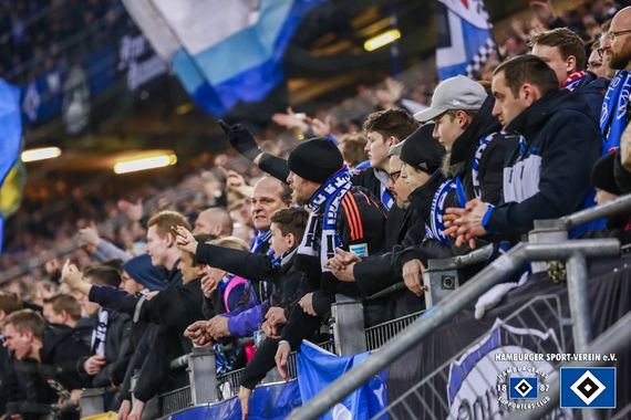 Hamburger SV vs Hertha BSC (1-0) (15)