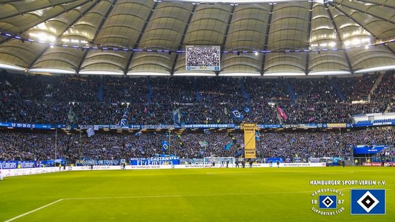 Hamburger SV vs Hertha BSC (1-0) (19)