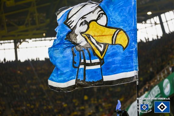 Borussia Dortmund vs Hamburger SV (3-0) (8)