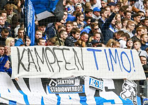 Hamburger SV vs TSG Hoffenheim (2-1)