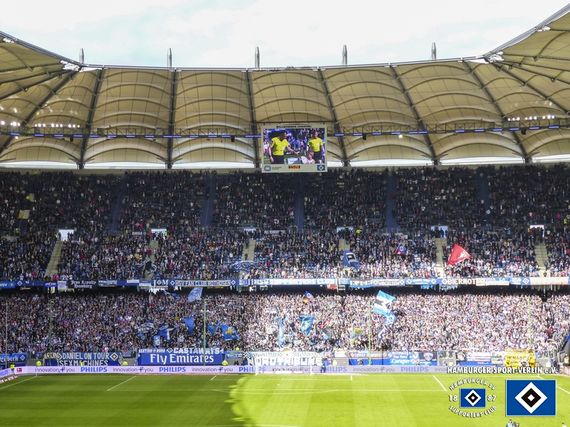 Hamburger SV vs TSG Hoffenheim (2-1) (1)