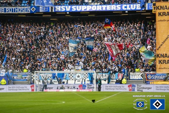 Hamburger SV vs TSG Hoffenheim (2-1) (2)