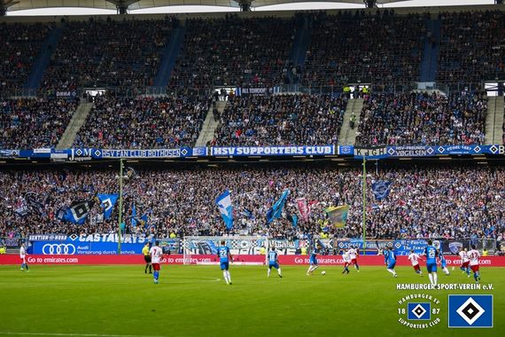 Hamburger SV vs TSG Hoffenheim (2-1) (3)