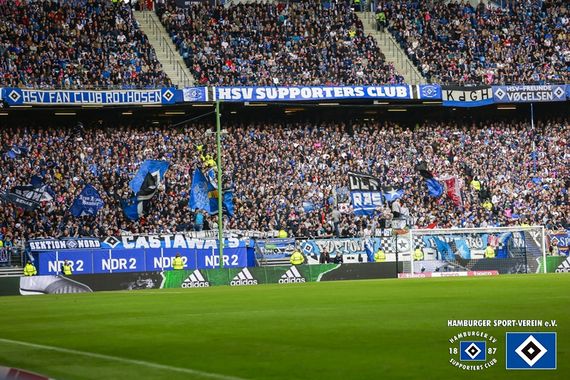 Hamburger SV vs TSG Hoffenheim (2-1) (4)
