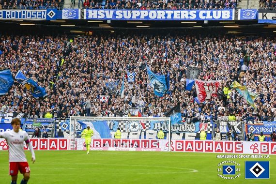 Hamburger SV vs TSG Hoffenheim (2-1) (6)