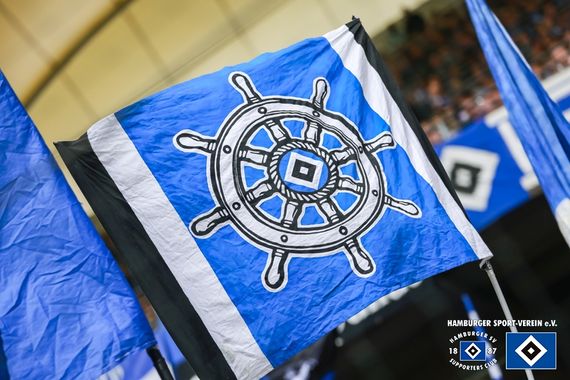 Hamburger SV vs TSG Hoffenheim (2-1) (9)