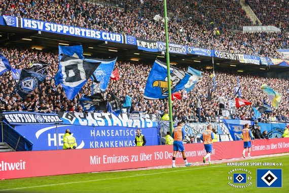 Hamburger SV vs TSG Hoffenheim (2-1) (10)