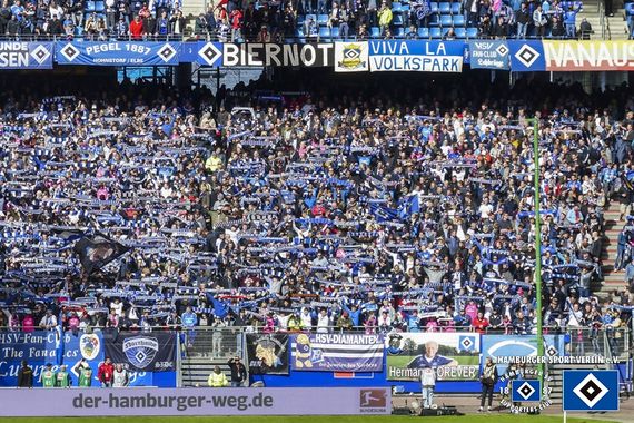 Hamburger SV vs TSG Hoffenheim (2-1) (12)