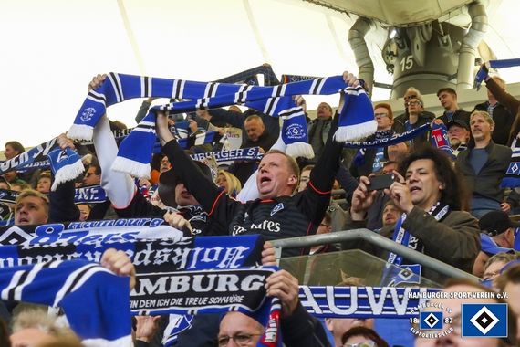 Hamburger SV vs TSG Hoffenheim (2-1) (13)