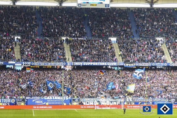 Hamburger SV vs TSG Hoffenheim (2-1) (14)
