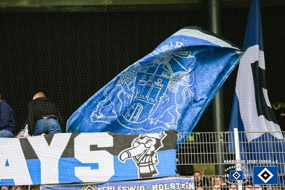 Werder Bremen vs Hamburger SV (2-1) (9)