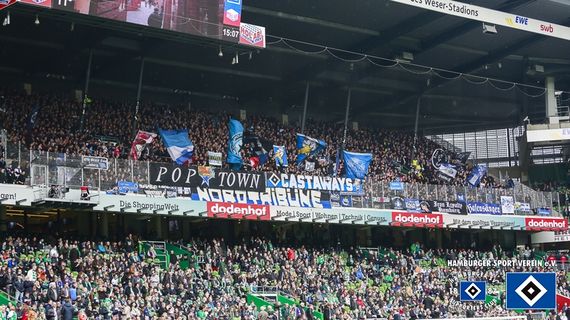 Werder Bremen vs Hamburger SV (2-1) (10)