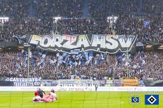 Hamburger SV vs SV Darmstadt 98 (1-2) (4)