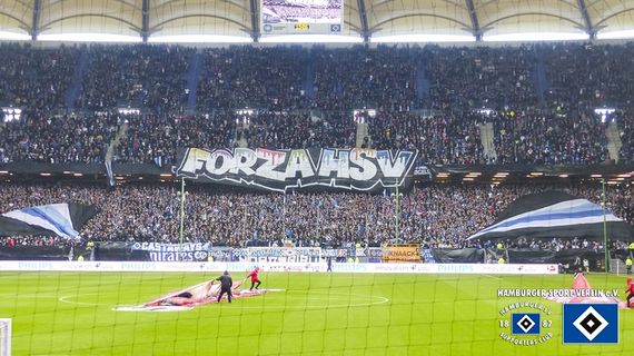 Hamburger SV vs SV Darmstadt 98 (1-2) (5)