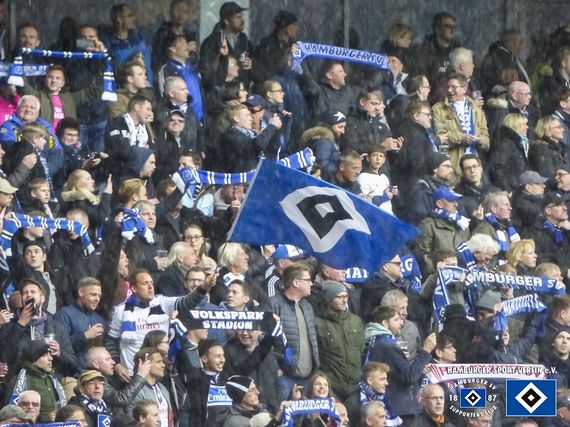 Hamburger SV vs SV Darmstadt 98 (1-2) (6)