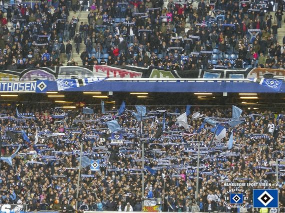 Hamburger SV vs SV Darmstadt 98 (1-2) (7)