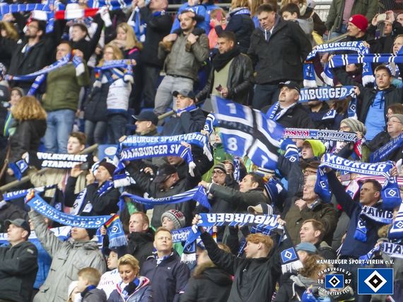 Hamburger SV vs SV Darmstadt 98 (1-2) (8)