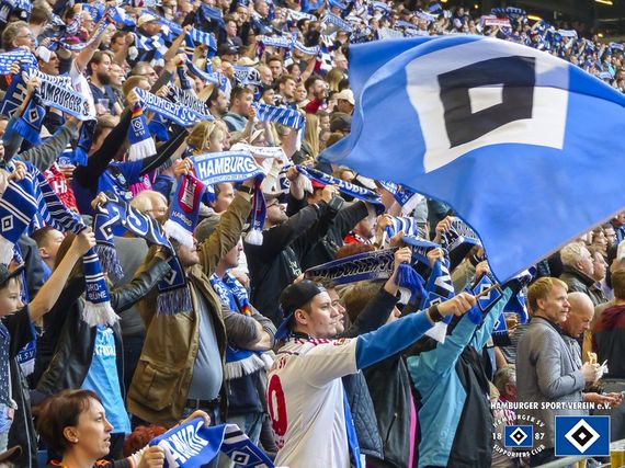 Hamburger SV vs 1. FSV Mainz 05 (0-0) (16)
