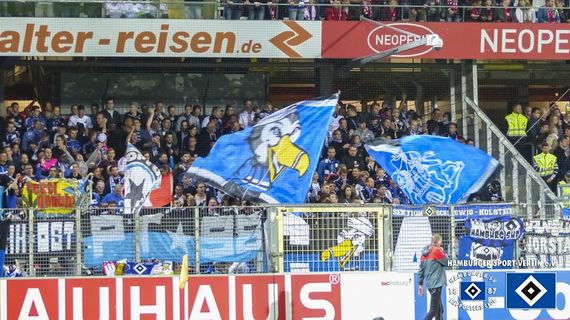 SC Freiburg vs Hamburger SV (1-0) (2)