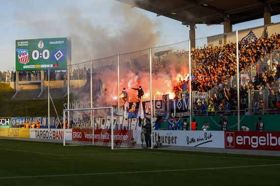 FSV Zwickau vs Hamburger SV (0-1) (11)