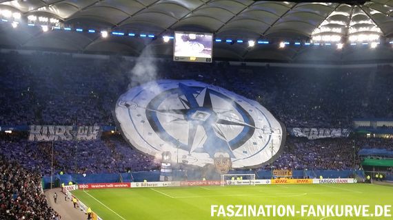 Hamburger SV vs 1. FC Köln (2-0) (4)