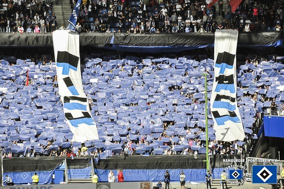 Hamburger SV vs FC Augsburg (1-0) (12)