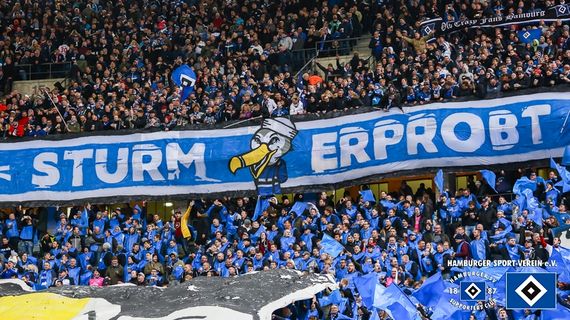 Hertha BSC vs Hamburger SV (2-1) (13)